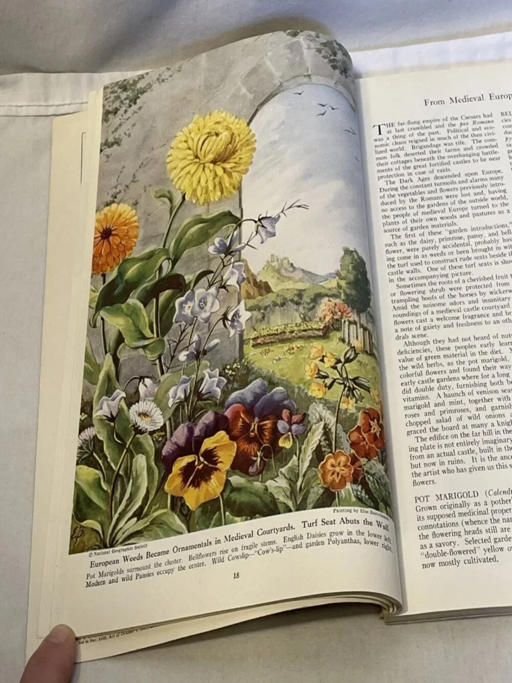 Vintage National Geographic Magazine July 1947 Vol 92 No 1 Mohawk River Garden